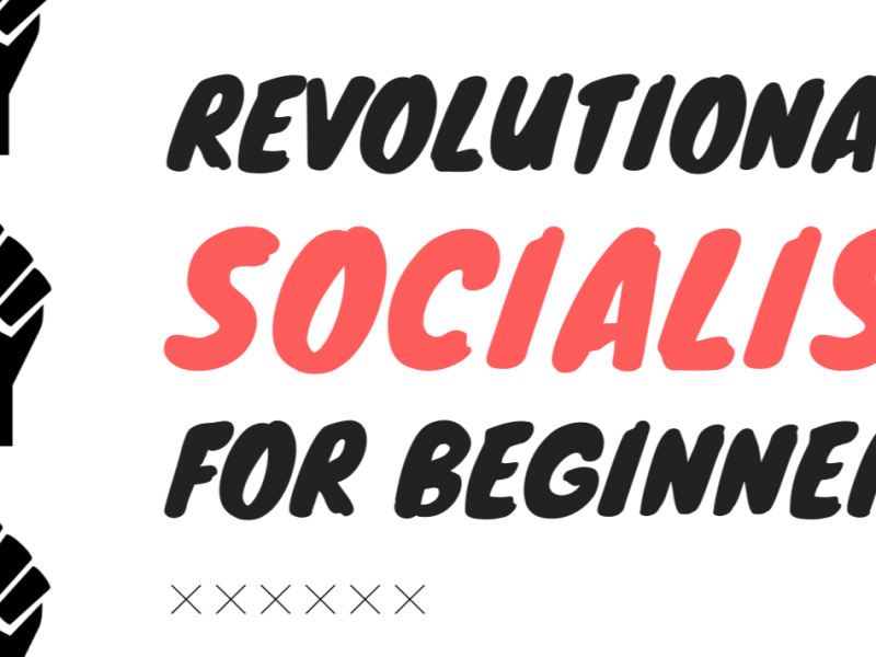 “Revolutionary Socialism for Beginners” series